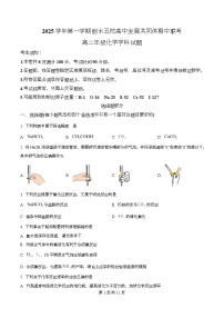 浙江省丽水发展共同体2025-2026学年高二上学期11月期中考试化学试卷（Word版附解析）