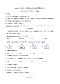 浙江省温州市浙南名校联盟2025-2026学年高一上学期期中联考化学试卷（Word版附解析）
