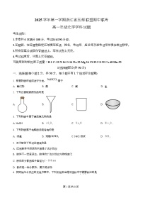 浙江省五湖联盟2025-2026学年高一上学期11月期中化学试卷（Word版附解析）