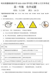 黑龙江省哈尔滨市德强高级中学2025-2026学年高一上学期12月月考化学试卷