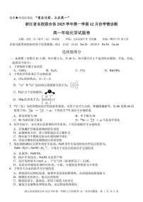 浙江名校联合体2025-2026学年高一上学期12月月考化学试题