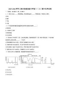 2025-2026学年上海市杨浦高级中学高二（上）期中化学试卷-自定义类型