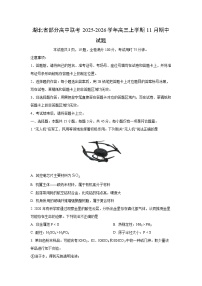 湖北省部分高中联考2025-2026学年高三上学期11月期中化学试卷（学生版）