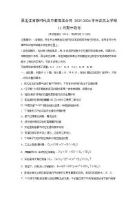黑龙江省新时代高中教育联合体2025-2026学年高三上学期11月期中联考化学试卷（学生版）