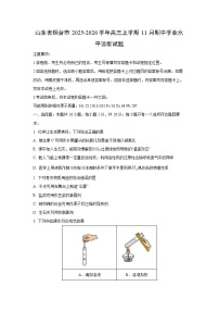 山东省烟台市2025-2026学年高三上学期11月期中学业水平诊断化学试卷（学生版）