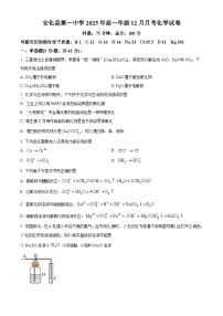 精品解析：湖南省益阳市安化县第一中学2025-2026学年高一上学期12月月考化学试题(有答案）