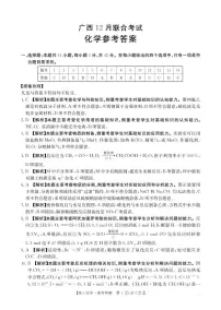 广西2026届高三上学期12月联考化学试卷（PDF版附解析）