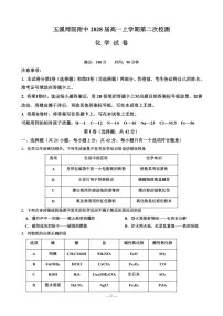 云南省玉溪师范学院附属中学2025-2026学年高一上学期12月月考化学试卷（含答案）