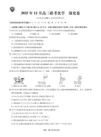 东北精准教学联盟2025年高三上学期12月联考考后强化卷化学试卷+答案