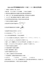 2024-2025学年湖南省长沙市一中高二（上）期末化学试卷-自定义类型