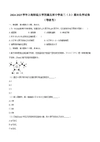 2024-2025学年上海财经大学附属北郊中学高二（上）期末化学试卷（等级考）-自定义类型