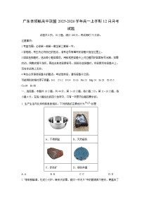 2025-2026学年广东省领航高中联盟高一上学期12月月考化学试卷（学生版）