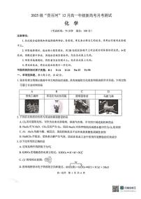 广西贵港市贵百河联考2025-2026学年高一上学期12月月考化学试题含答案