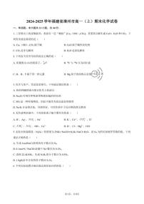 2024-2025学年福建省漳州市高一（上）期末化学试卷（有答案）
