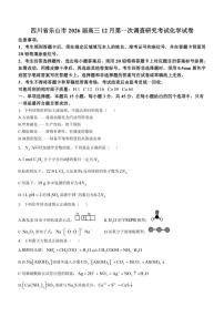 2026届四川省乐山市高三上12月第一次调查研究考试化学试卷（有答案）