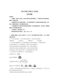 2026届湖北省云学联盟高三上学期12月考试化学试卷（有解析）