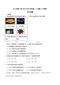 辽宁省营口市普通高中2025-2026学年高一上学期11月期中考试化学试题（Word版附答案）