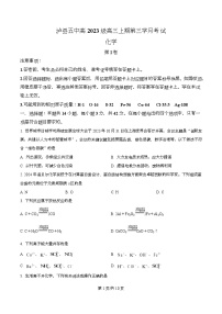 四川省泸州市泸县第五中学2026届高三上学期12月月考化学试题（Word版附解析）