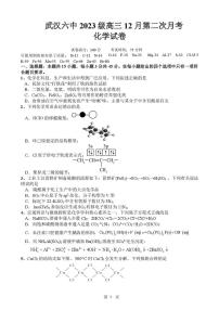 湖北省武汉市第六中学2025-2026学年高三上学期12月月考化学试卷
