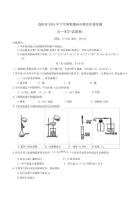 2024-2025学年湖南省益阳市普通高中高一上学期1月期末质量检测化学试卷（有答案）