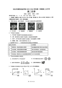 广东省汕头市潮阳实验学校2025-2026学年高二上学期12月月考化学试题