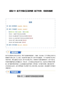 题型03 离子方程式正误判断 离子共存、检验和推断 （题型专练）（全国通用）2026年高考化学二轮复习讲练测+答案