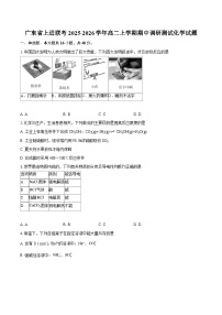 广东省上进联考2025-2026学年高二上学期期中调研测试化学试题-自定义类型