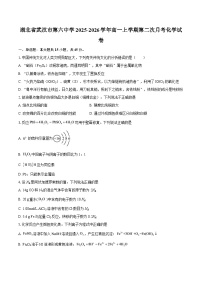 湖北省武汉市第六中学2025-2026学年高一上学期第二次月考化学试卷-自定义类型