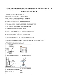 江苏省苏州市园区西安交通大学苏州附属中学2025-2026学年高二上学期12月月考化学试题-自定义类型