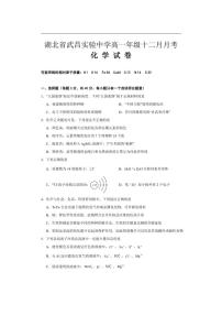 2025-2026学年湖北省武汉市武昌实验中学高一上学期十二月月考化学试卷（有答案）