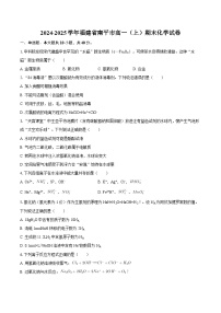 2024-2025学年福建省南平市高一（上）期末化学试卷-自定义类型