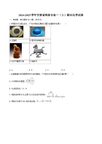 2024-2025学年甘肃省酒泉市高一（上）期末化学试卷-自定义类型