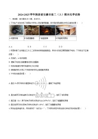 2024-2025学年陕西省安康市高二（上）期末化学试卷-自定义类型