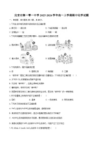 北京市第一零一中学2025-2026学年高一上学期期中化学试题-自定义类型