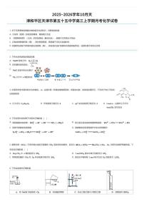 2025~2026学年10月天津和平区天津市第五十五中学高三上学期月考化学试卷（有答案解析）