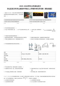 2025~2026学年10月湖北武汉洪山区武汉市洪山高级中学高三上学期月考化学试卷（腾云联盟）（有答案解析）