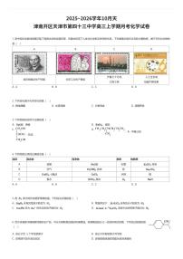 2025~2026学年10月天津南开区天津市第四十三中学高三上学期月考化学试卷（有答案解析）