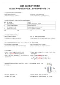2025~2026学年广东东莞市松山湖东莞中学松山湖学校高二上学期段考化学试卷（一）（有答案解析）