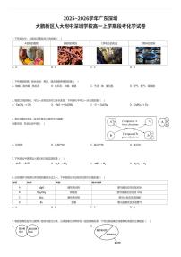 2025~2026学年广东深圳大鹏新区人大附中深圳学校高一上学期段考化学试卷（有答案解析）