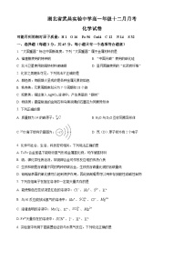 湖北省武昌实验中学2025-2026学年高一上学期十二月月考化学试卷