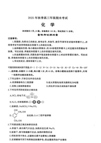 湖北省黄冈市2025-2026学年高三上学期1月期末考试化学试题（含答案）
