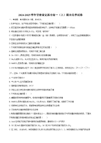 2024-2025学年甘肃省定西市高一（上）期末化学试卷-自定义类型