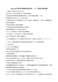 2024-2025学年甘肃省定西市高一（上）期末化学试卷-自定义类型