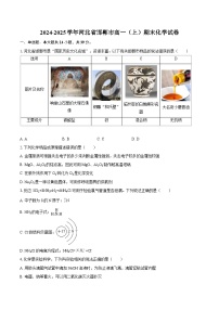 2024-2025学年河北省邯郸市高一（上）期末化学试卷-自定义类型