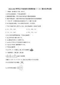 2024-2025学年辽宁省沈阳市郊联体高二（上）期末化学试卷-自定义类型