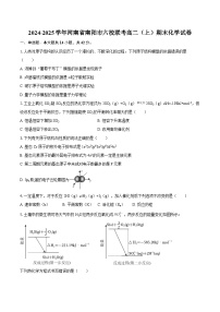 2024-2025学年河南省南阳市六校联考高二（上）期末化学试卷-自定义类型
