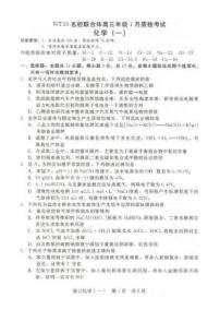 河北省NT20名校联合体2026届高三上学期1月质检考试化学试卷（月考）
