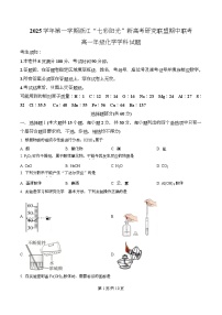 浙江省”七彩阳光“新高考研究联盟2025-2026学年高一上学期期中联考化学试卷（Word版附解析）