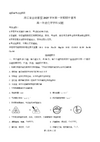 浙江省金砖高中联盟2025-2026学年高一上学期11月期中化学试卷（Word版附解析）