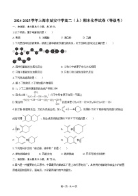 2024-2025学年上海市延安中学高二（上）期末化学试卷（等级考）-自定义类型